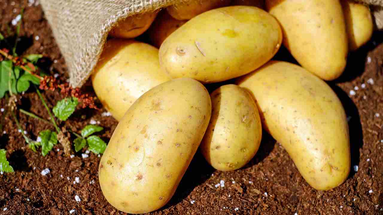 Rischi buccia di patate