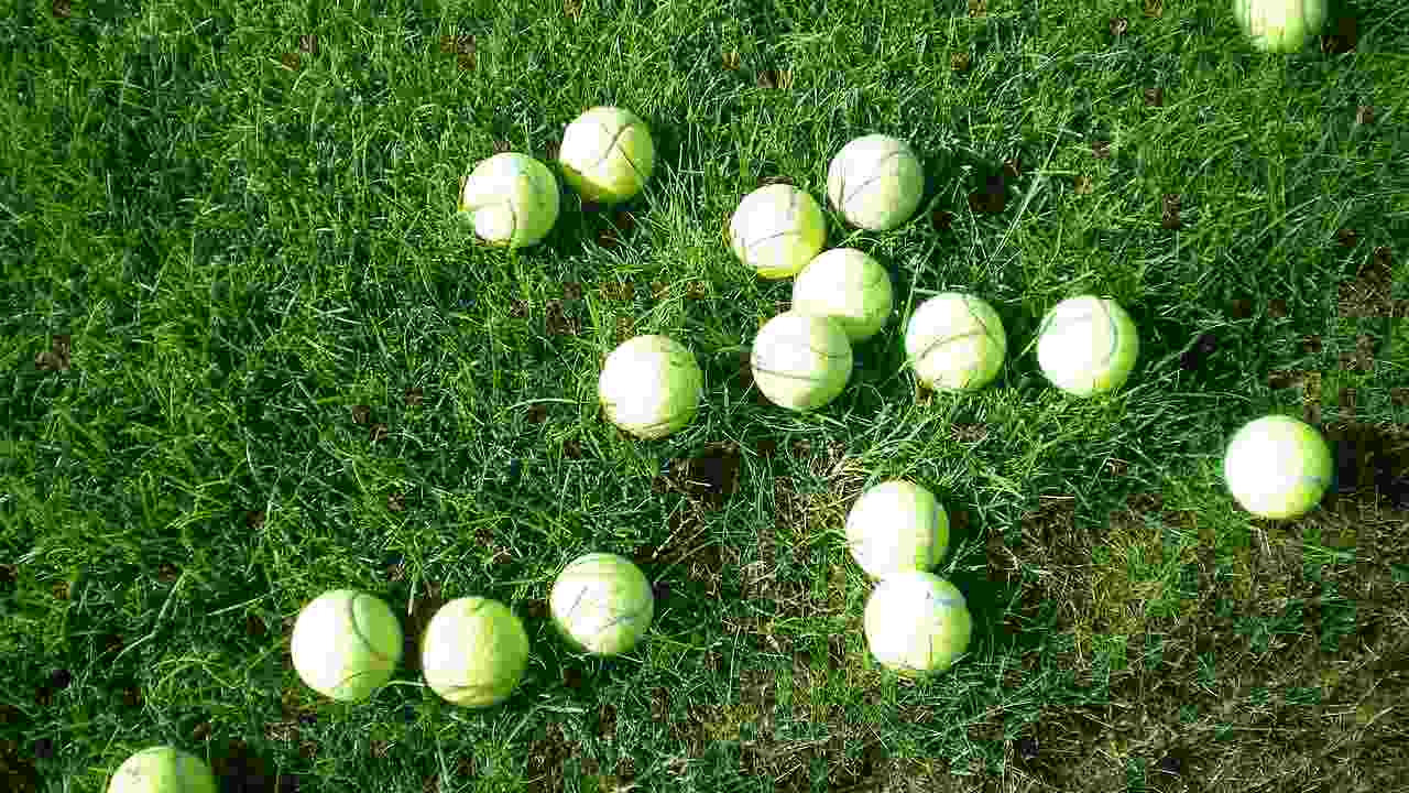 Utilità pallina da tennis